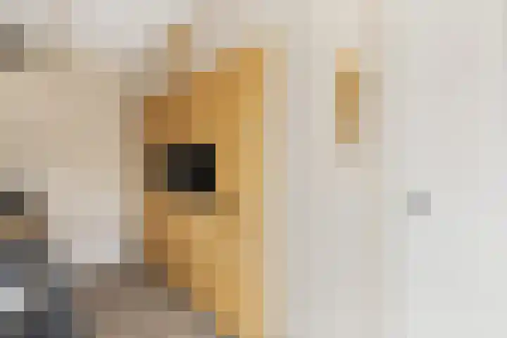 Willem Stoltehof 3 Raalte thumbnail 17