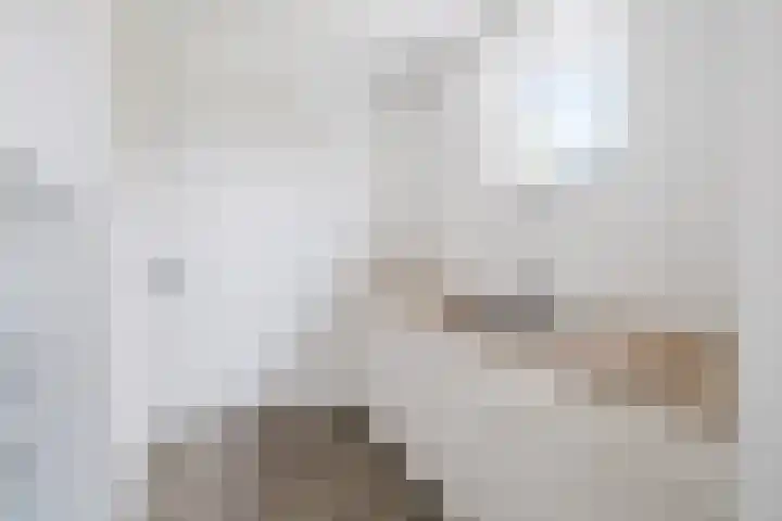 Willem Stoltehof 3 Raalte thumbnail 19