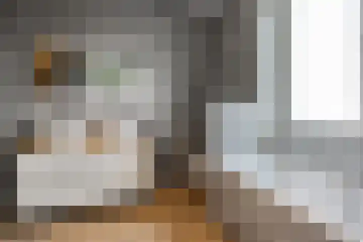 Willem Stoltehof 3 Raalte thumbnail 27