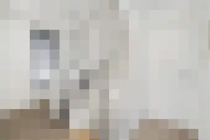 Willem Stoltehof 3 Raalte thumbnail 30