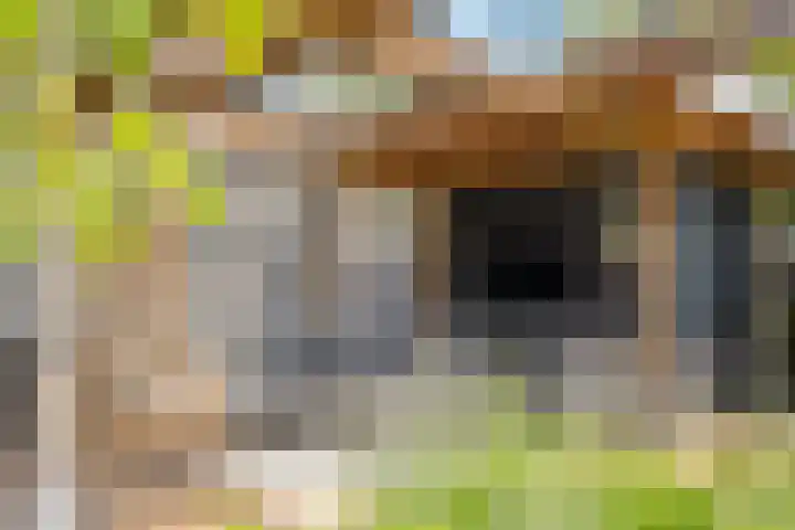 Willem Stoltehof 3 Raalte thumbnail 36