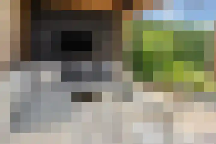 Willem Stoltehof 3 Raalte thumbnail 37