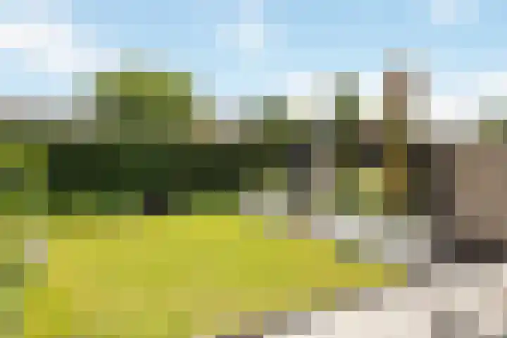 Willem Stoltehof 3 Raalte thumbnail 38
