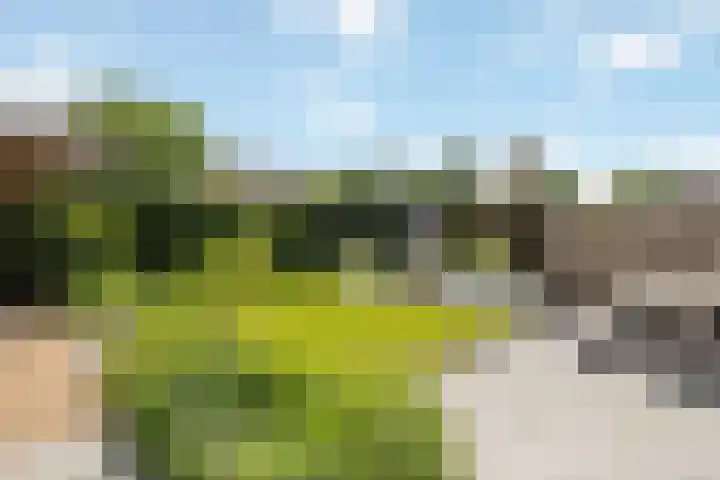 Willem Stoltehof 3 Raalte thumbnail 39