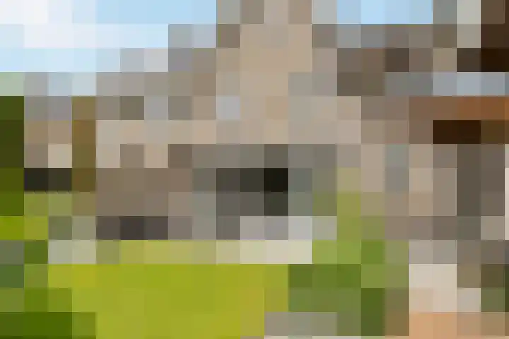 Willem Stoltehof 3 Raalte thumbnail 41