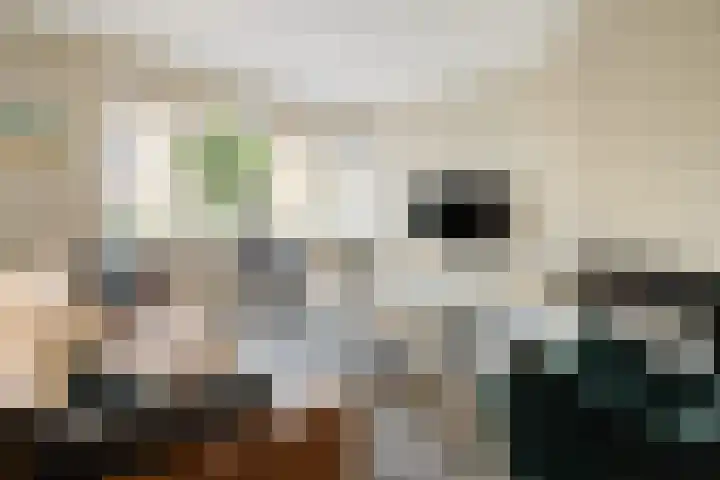 Willem Stoltehof 3 Raalte thumbnail 5