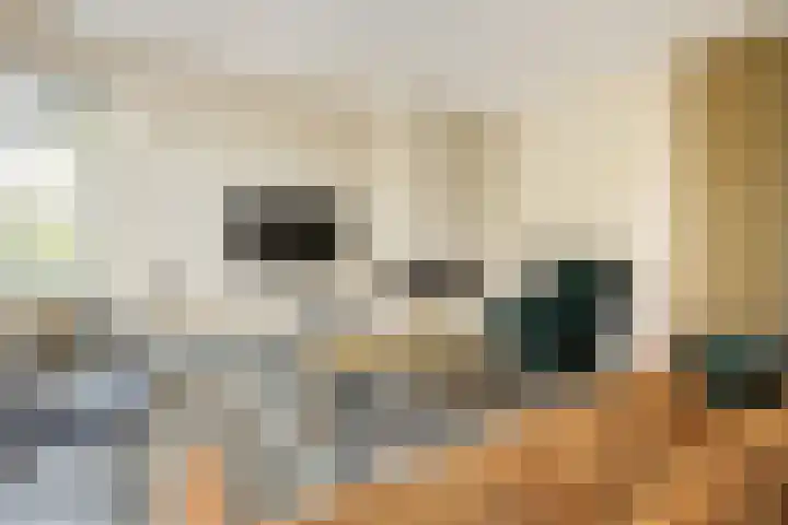 Willem Stoltehof 3 Raalte thumbnail 7