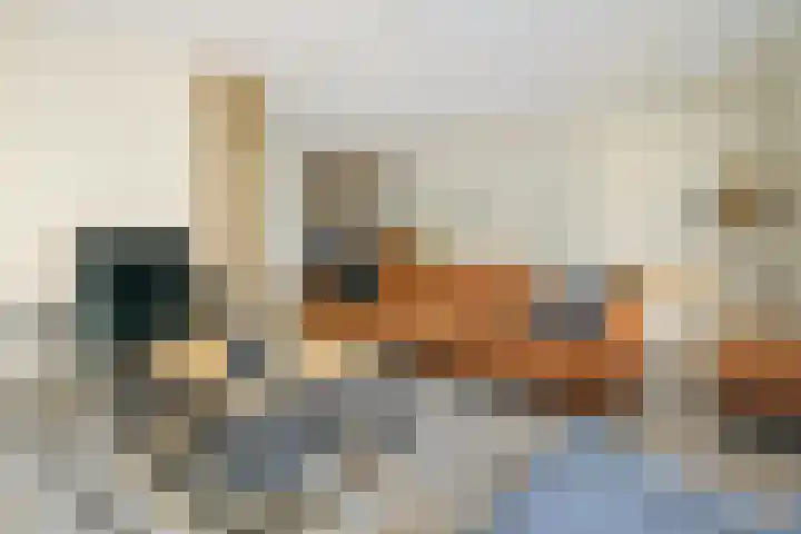 Willem Stoltehof 3 Raalte thumbnail 8