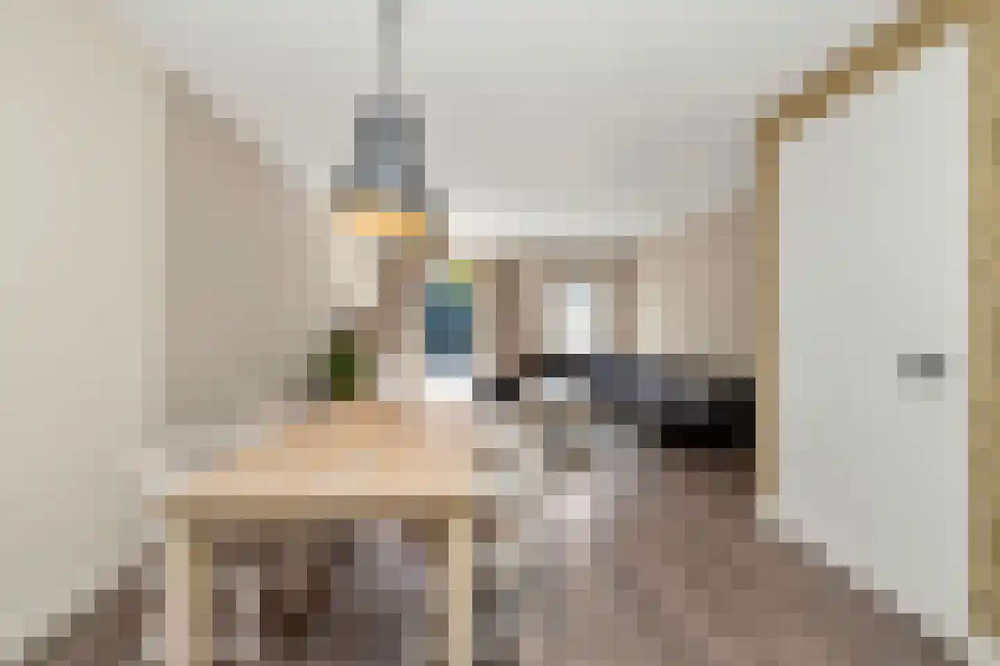 Willem 't Hartstraat 21 't Zand thumbnail 12