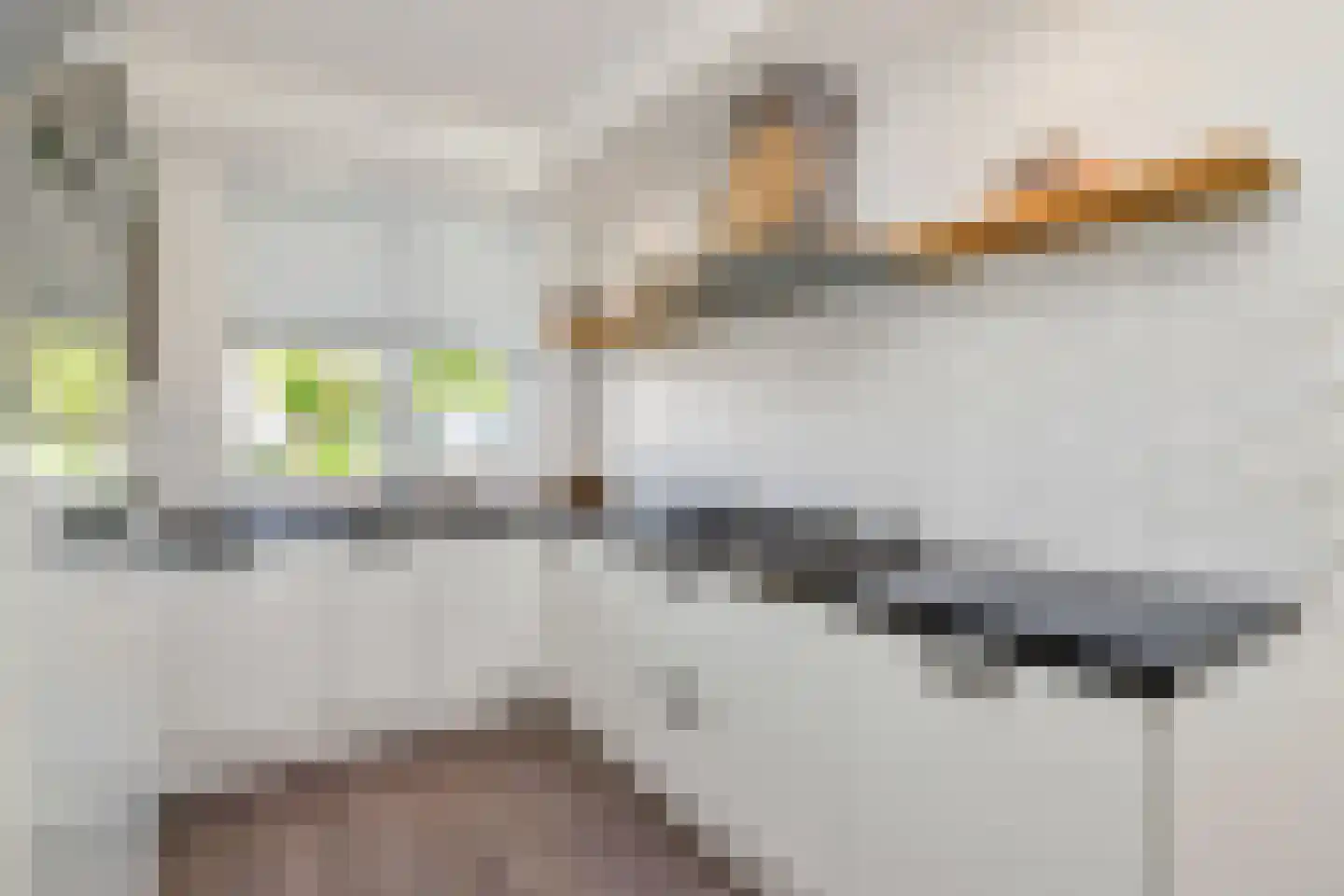 Willem 't Hartstraat 21 't Zand thumbnail 14