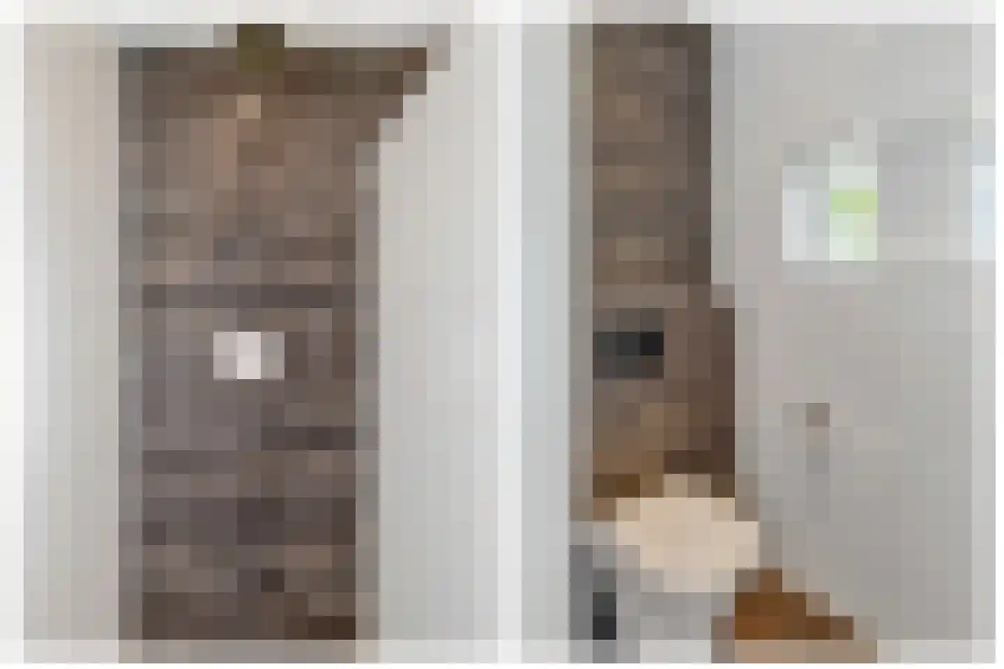 Willem 't Hartstraat 21 't Zand thumbnail 24