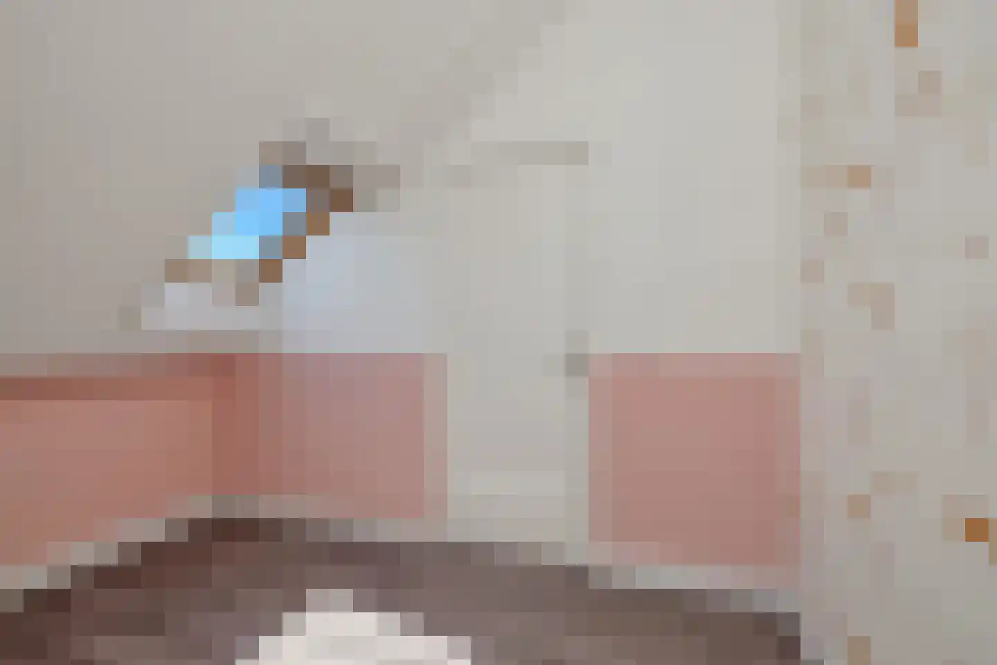 Willem 't Hartstraat 21 't Zand thumbnail 26