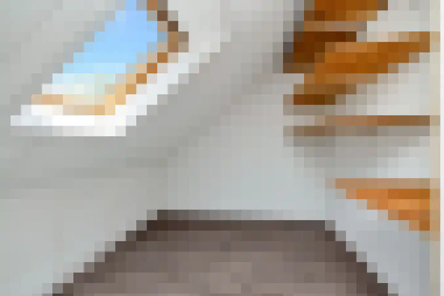Willem 't Hartstraat 21 't Zand thumbnail 30