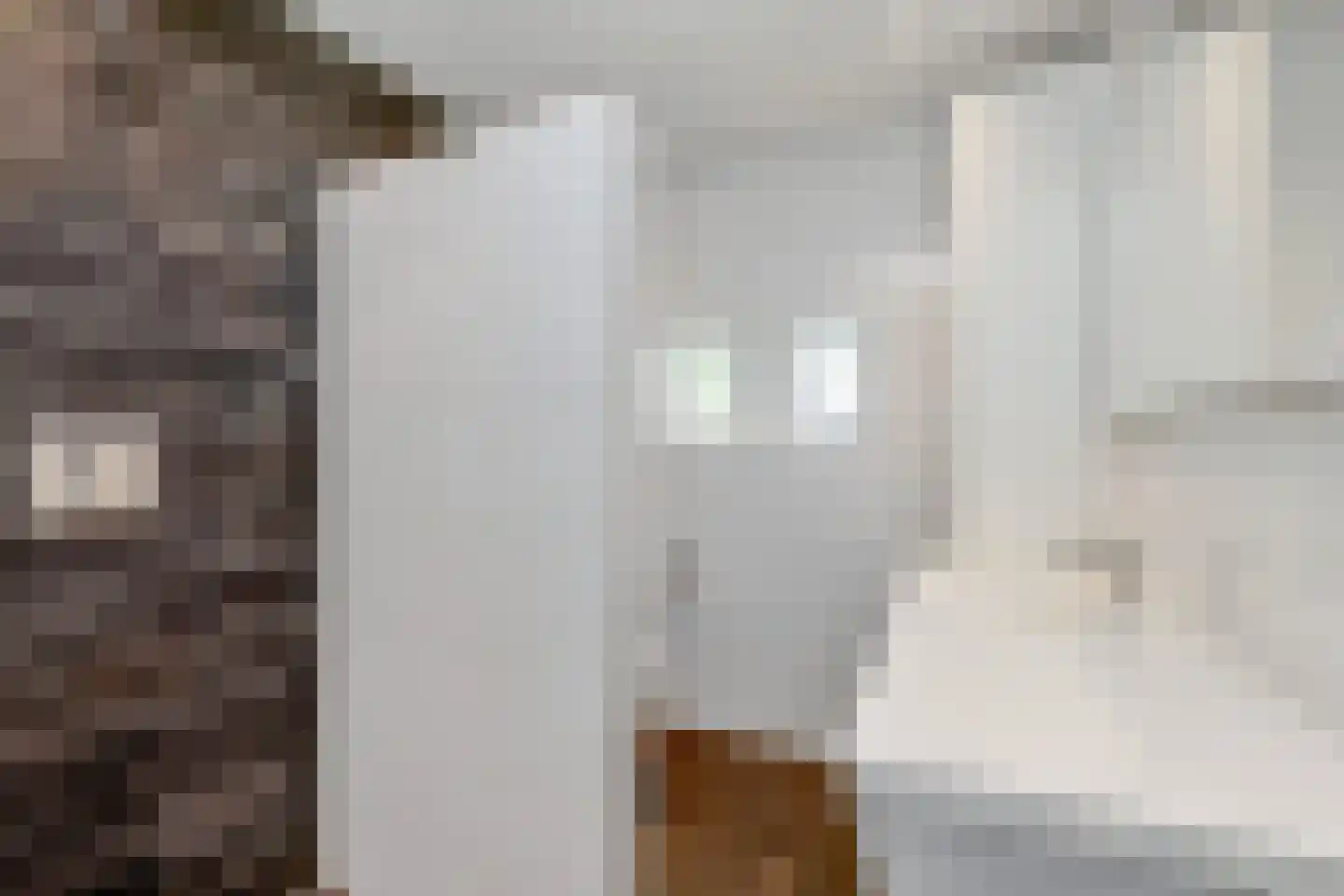 Willem 't Hartstraat 21 't Zand thumbnail 4