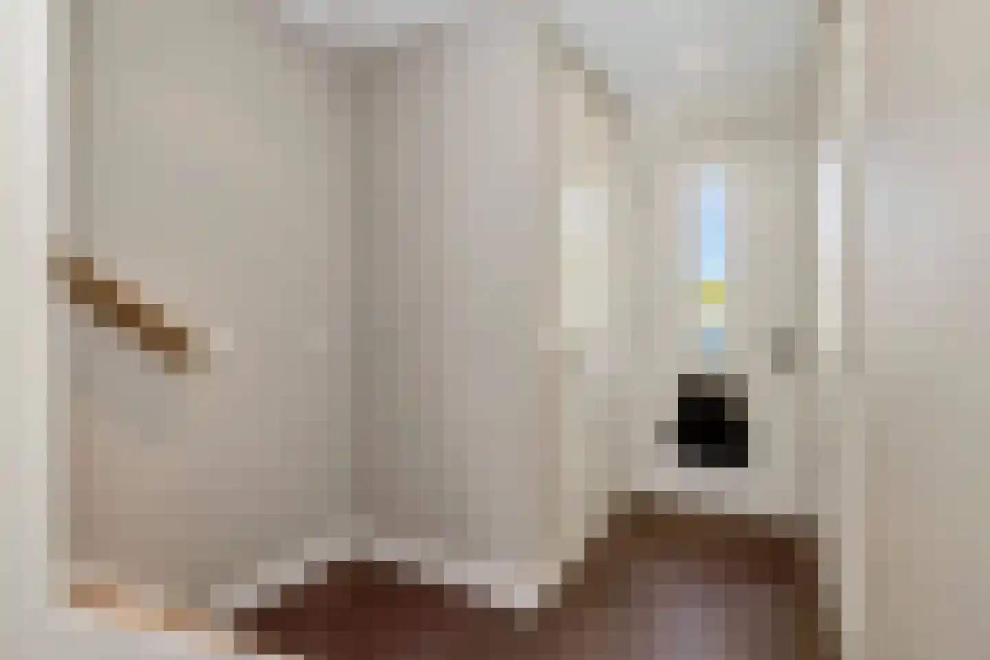 Willem 't Hartstraat 21 't Zand thumbnail 7