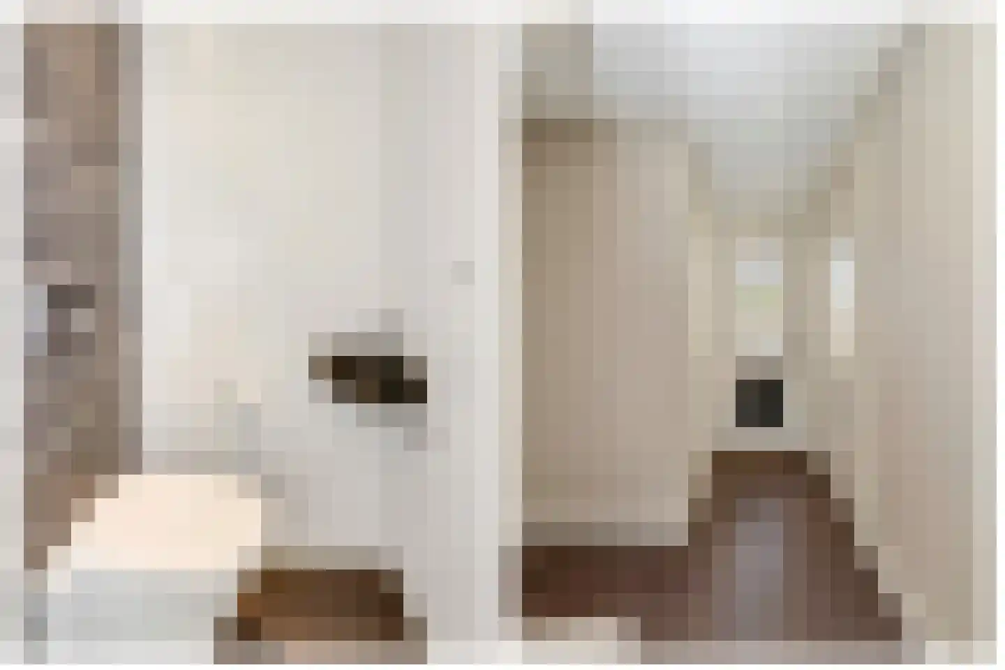 Willem 't Hartstraat 21 't Zand thumbnail 8