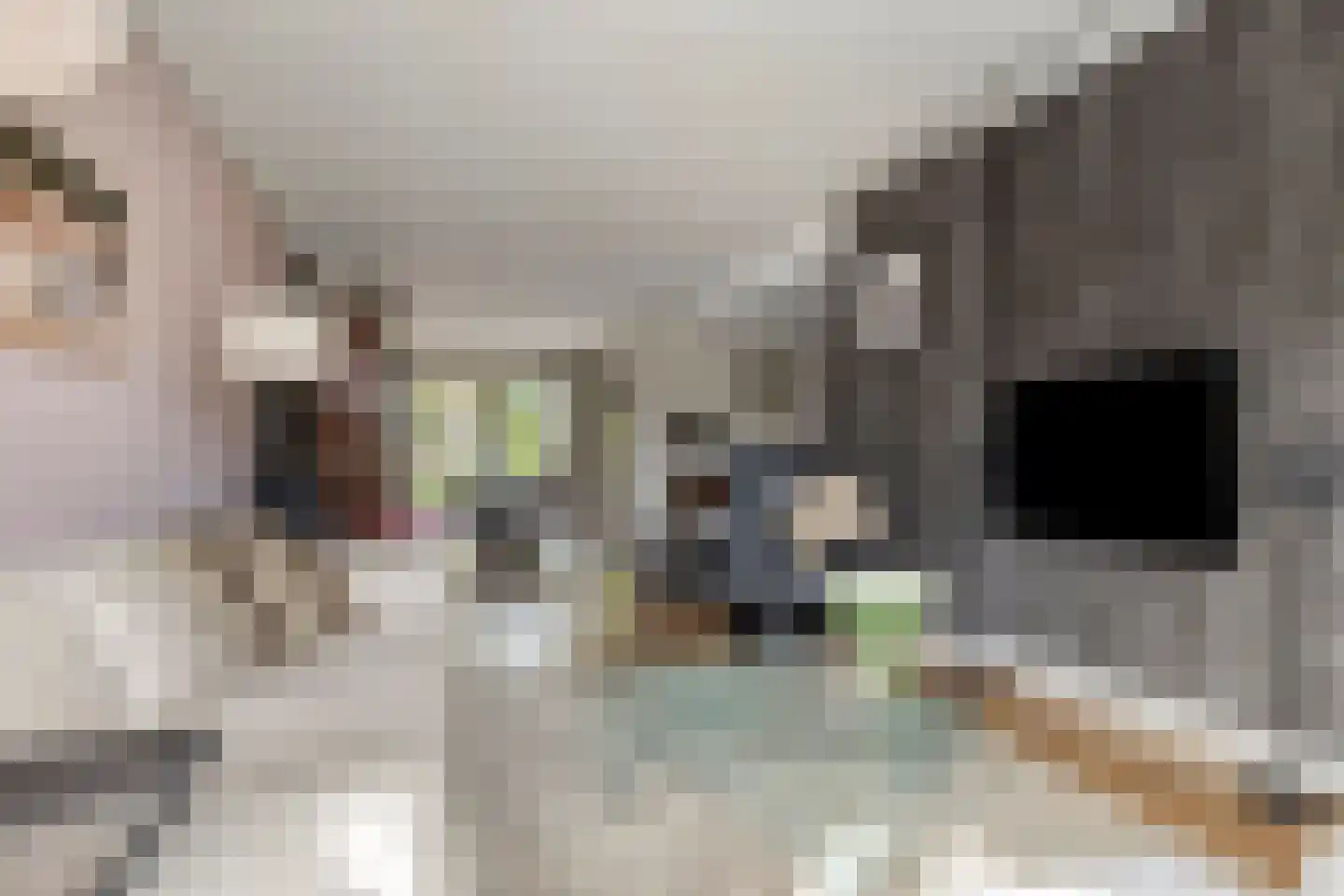 Willem 't Hartstraat 6 't Zand thumbnail 10