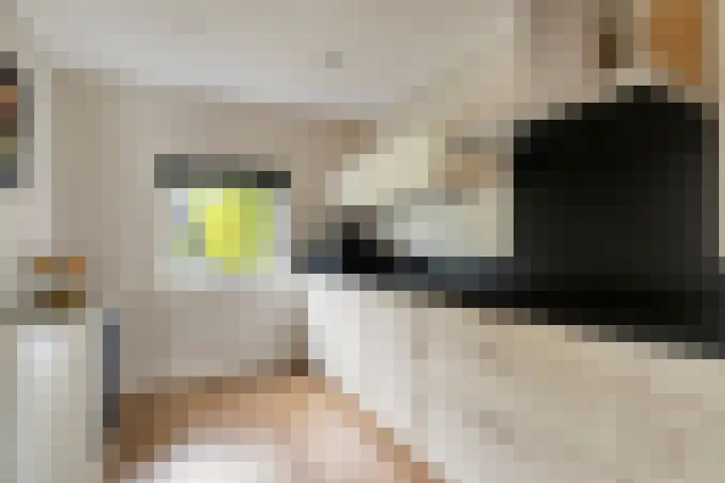 Willem 't Hartstraat 6 't Zand thumbnail 16