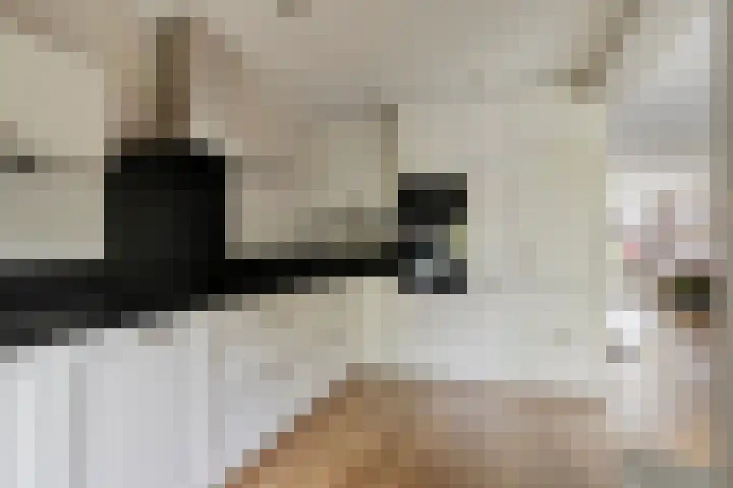 Willem 't Hartstraat 6 't Zand thumbnail 17