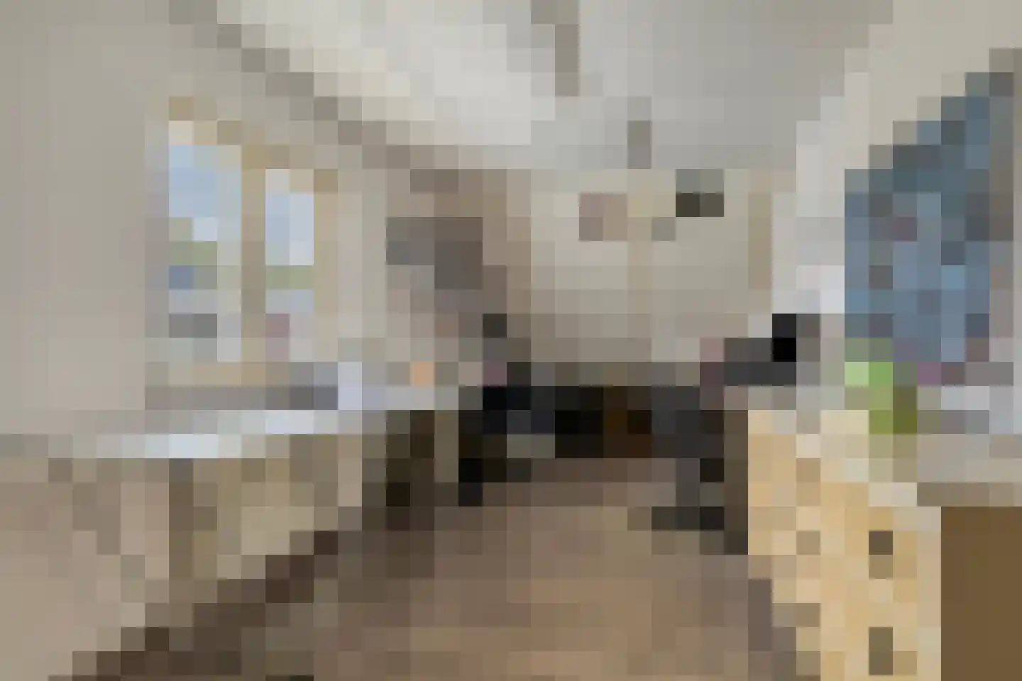 Willem 't Hartstraat 6 't Zand thumbnail 28