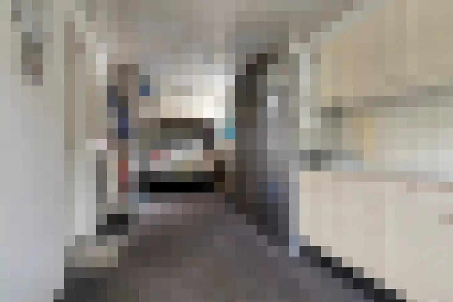 Willem 't Hartstraat 6 't Zand thumbnail 34