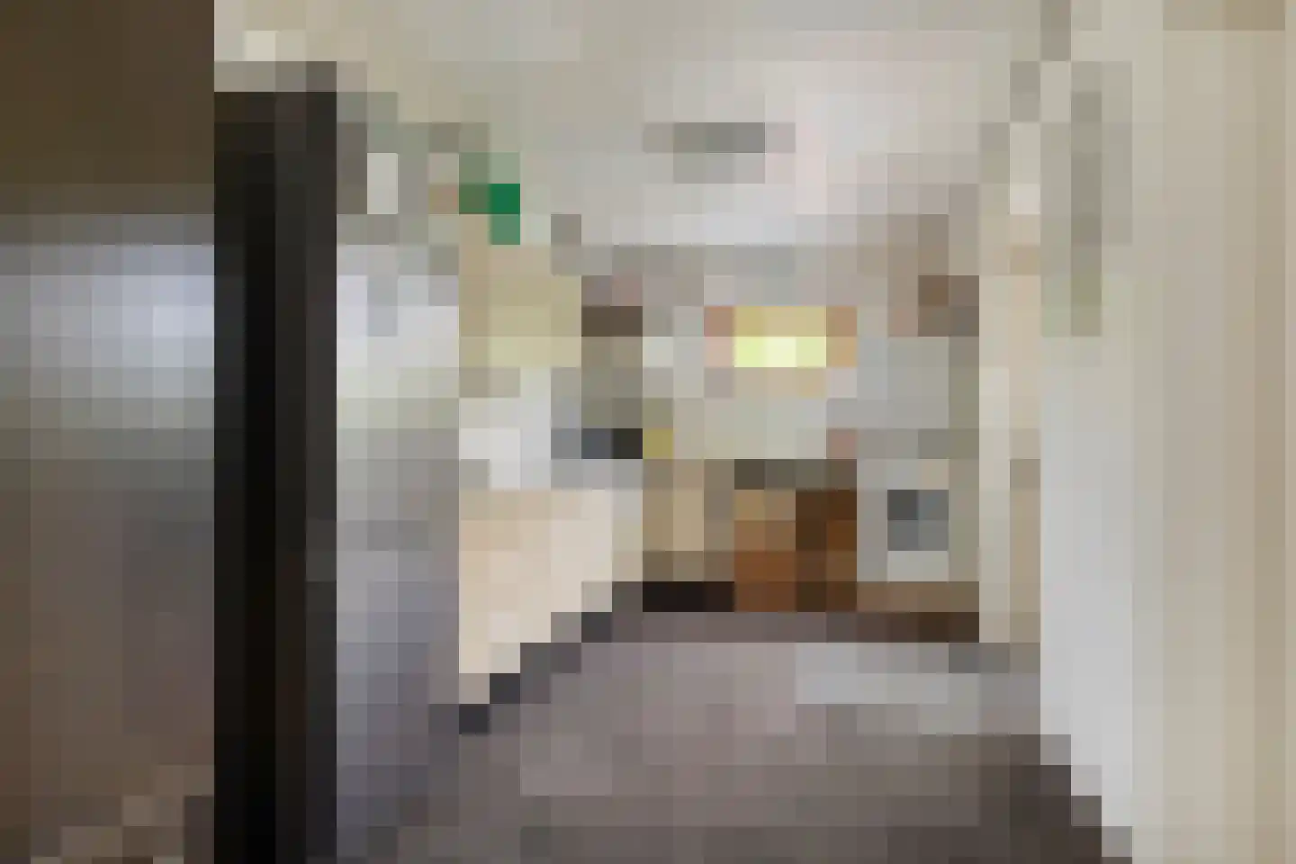Willem 't Hartstraat 6 't Zand thumbnail 35