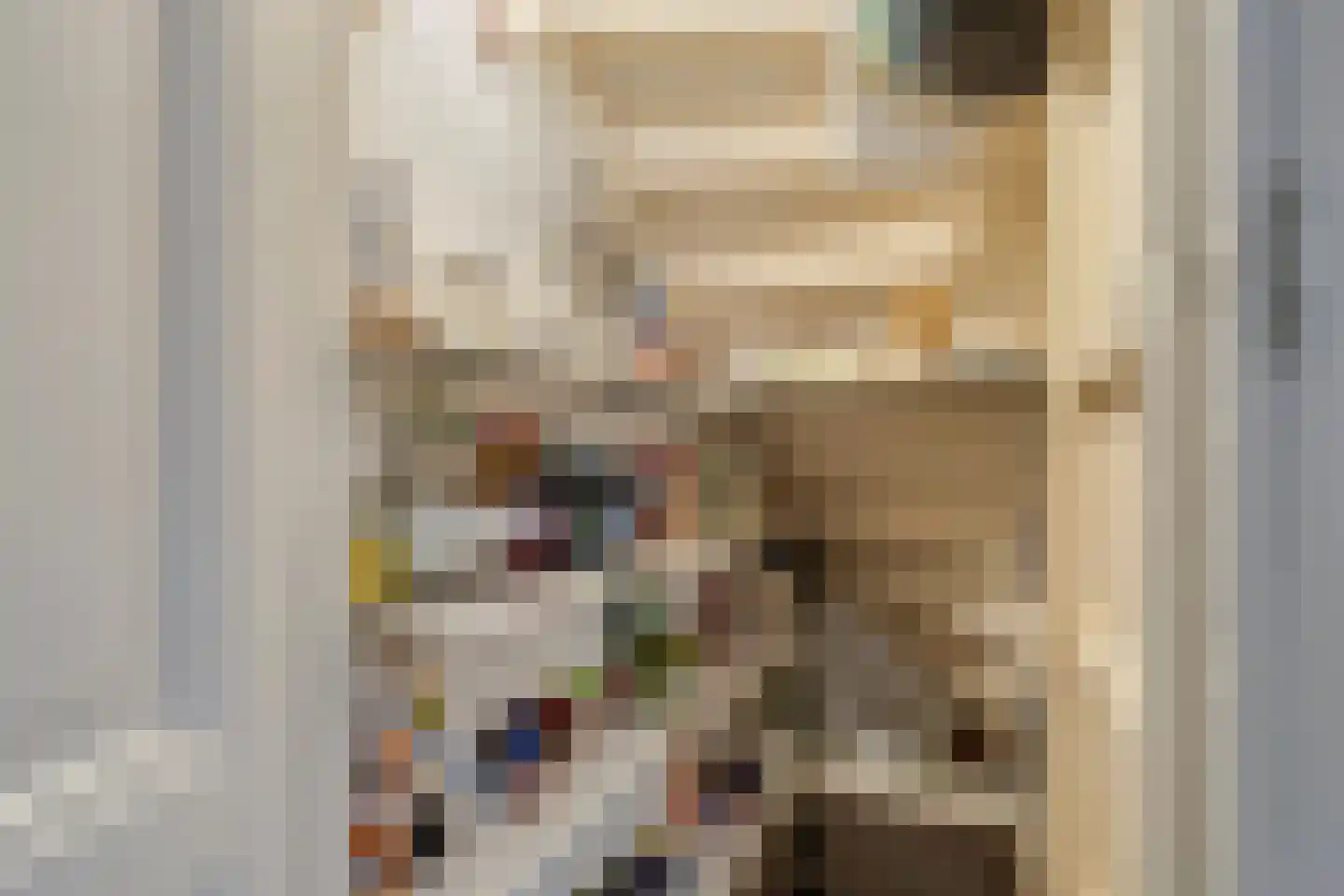 Willem 't Hartstraat 6 't Zand thumbnail 36