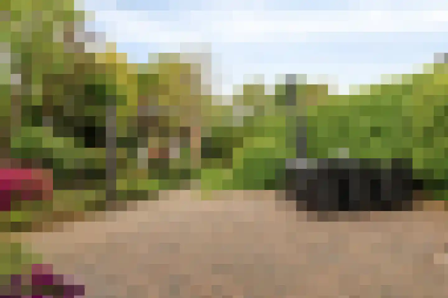 Willem 't Hartstraat 6 't Zand thumbnail 41