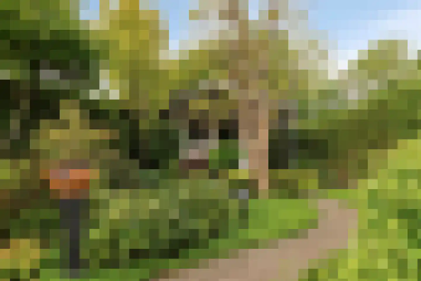 Willem 't Hartstraat 6 't Zand thumbnail 43