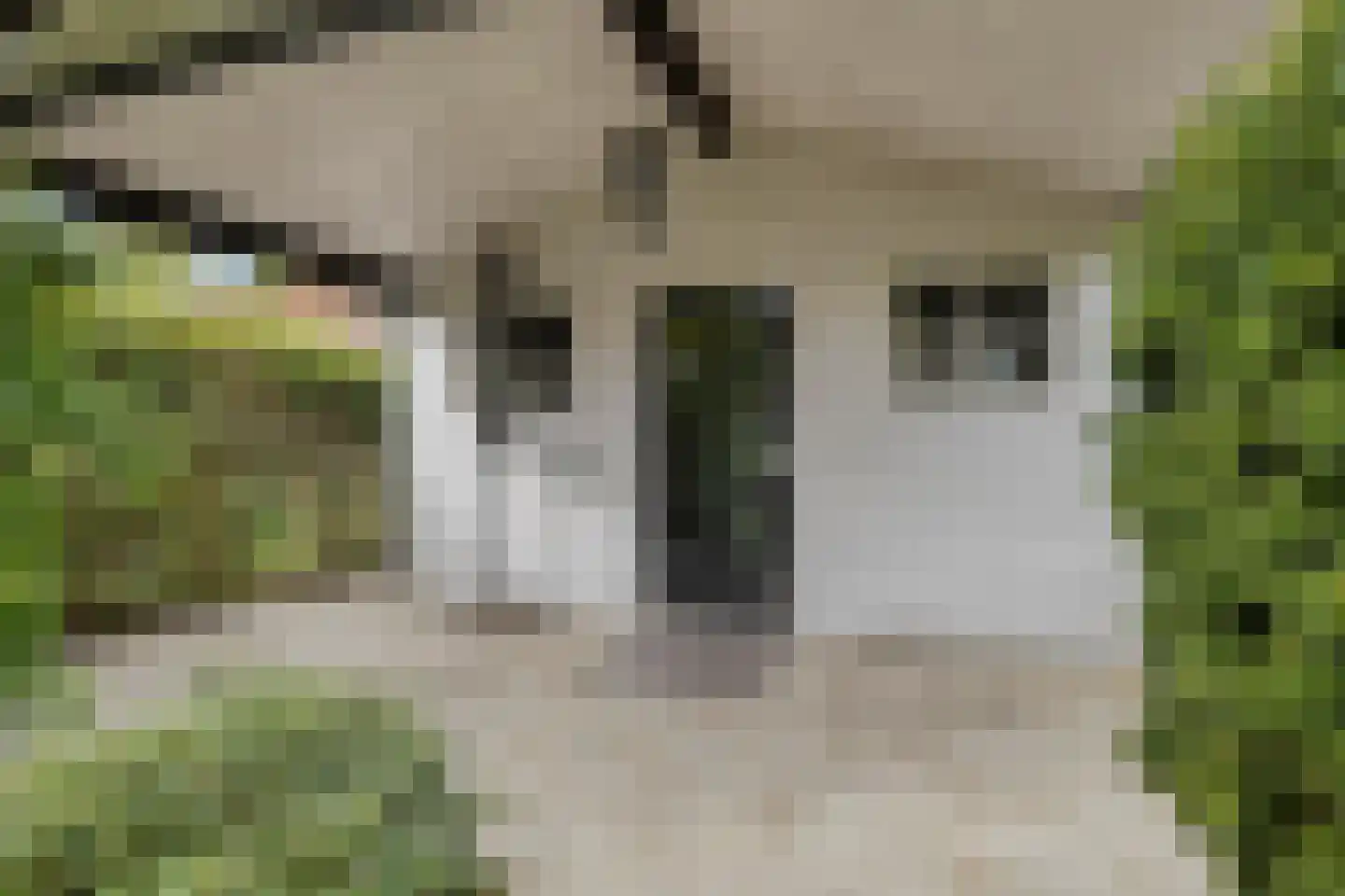 Willem 't Hartstraat 6 't Zand thumbnail 45