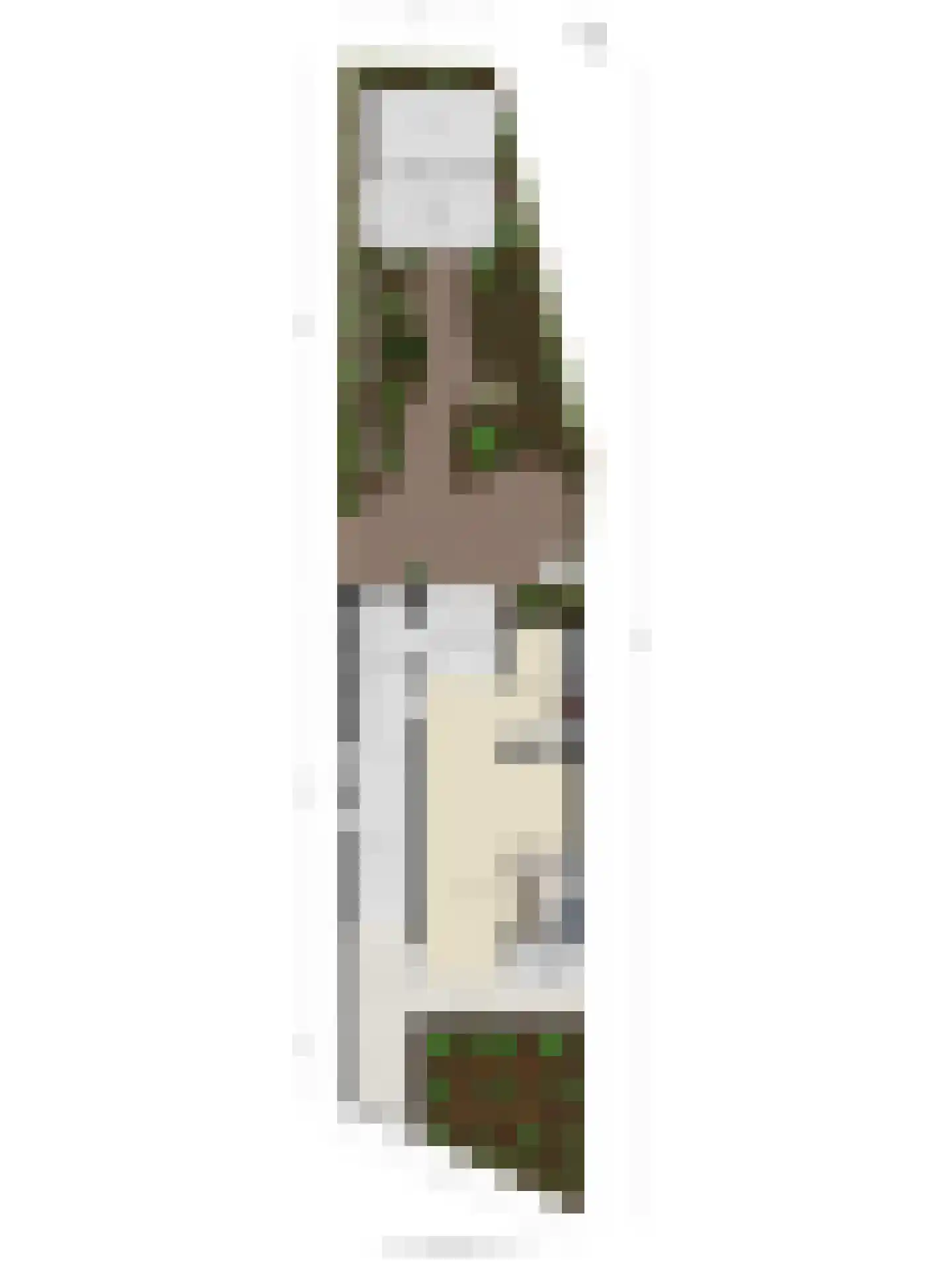 Willem 't Hartstraat 6 't Zand thumbnail 48