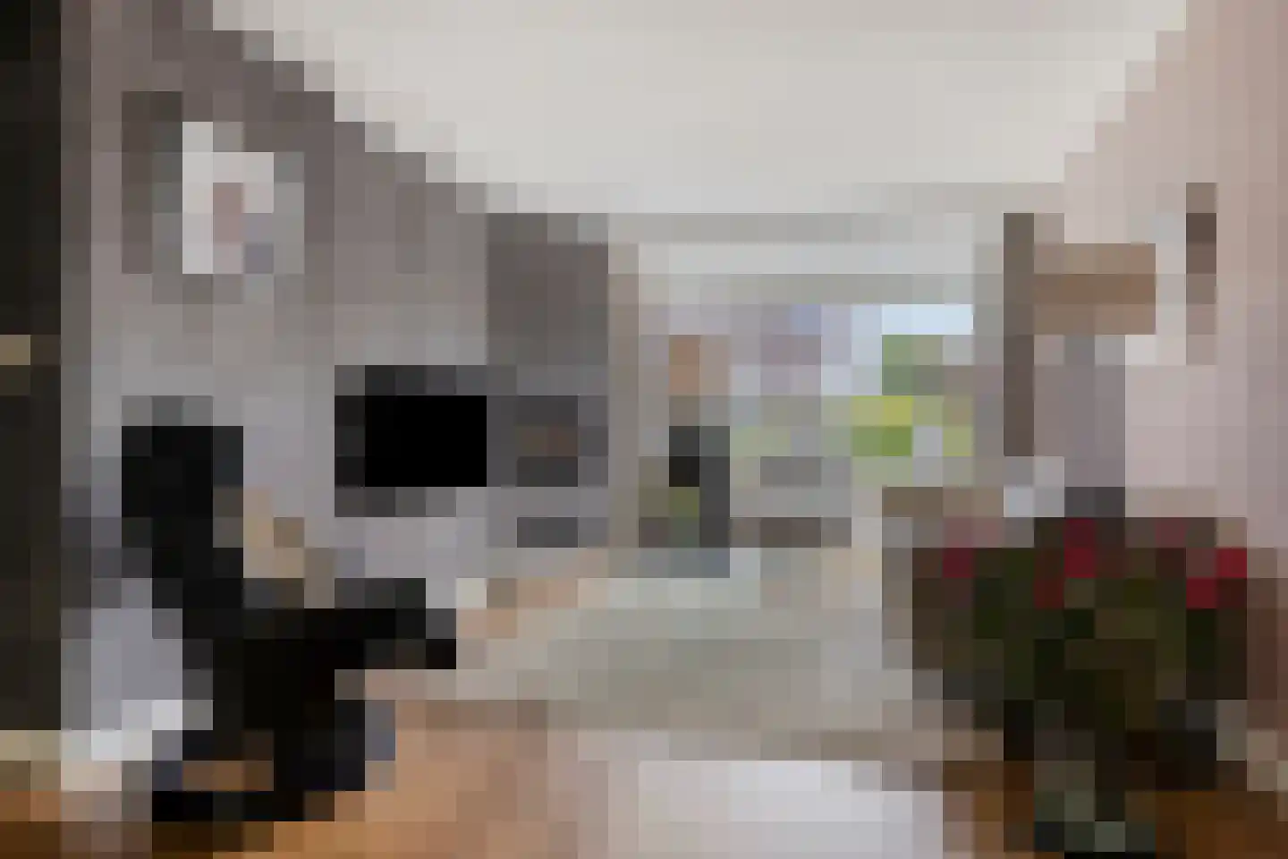 Willem 't Hartstraat 6 't Zand thumbnail 9