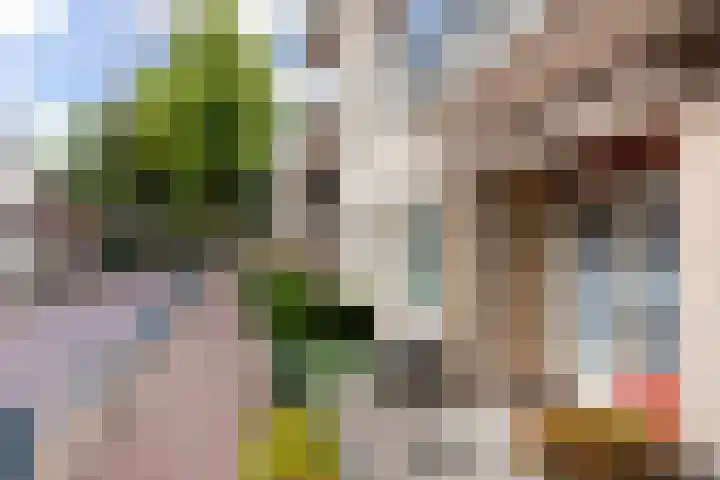 Willem Tellstraat 14 Epe thumbnail 21