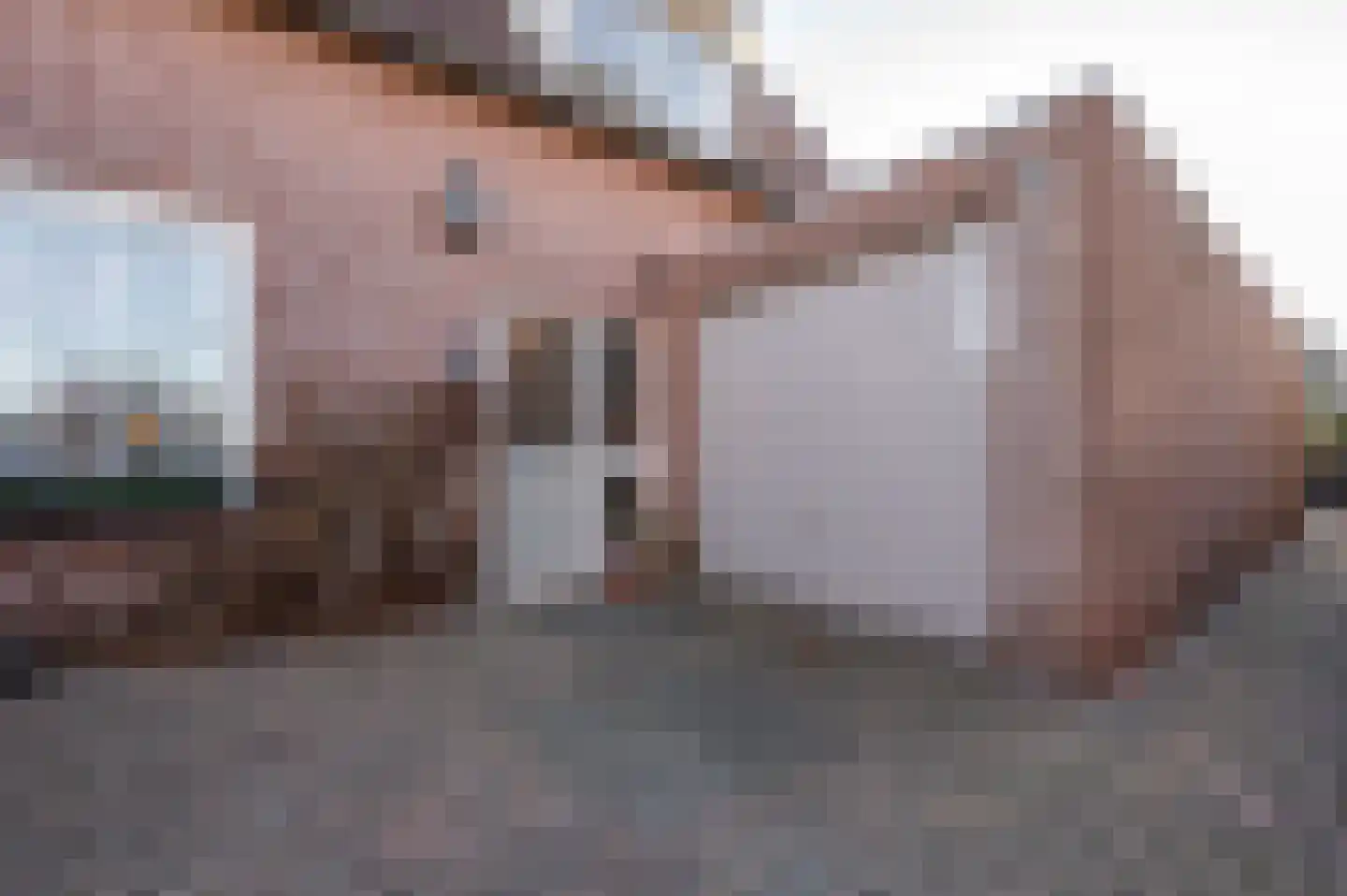 Willem Tellstraat 18 IJzendijke thumbnail 4