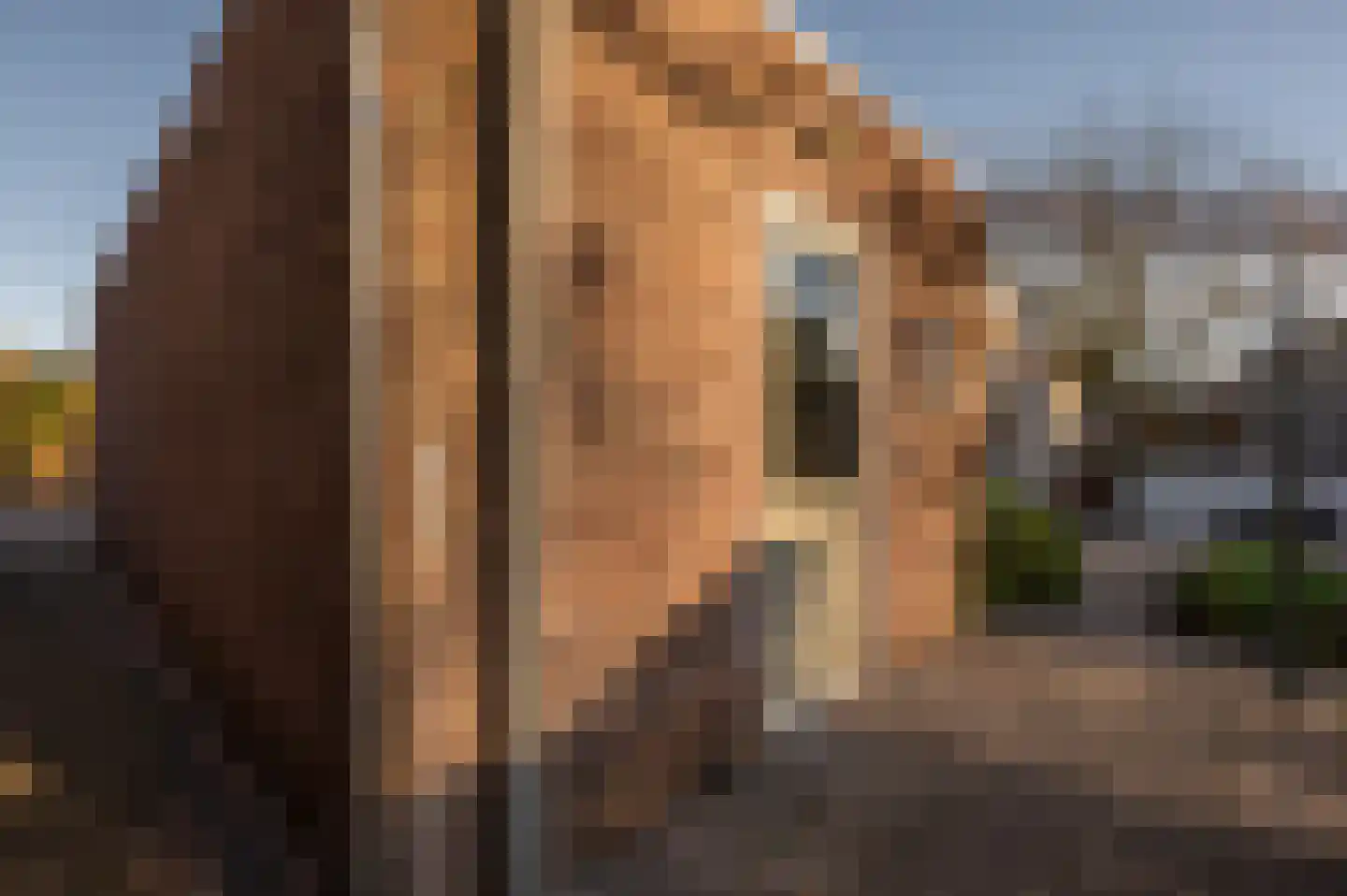 Willem Tellstraat 18 IJzendijke thumbnail 42