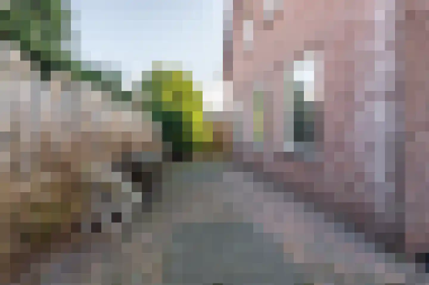 Willem Tellstraat 18 IJzendijke thumbnail 5