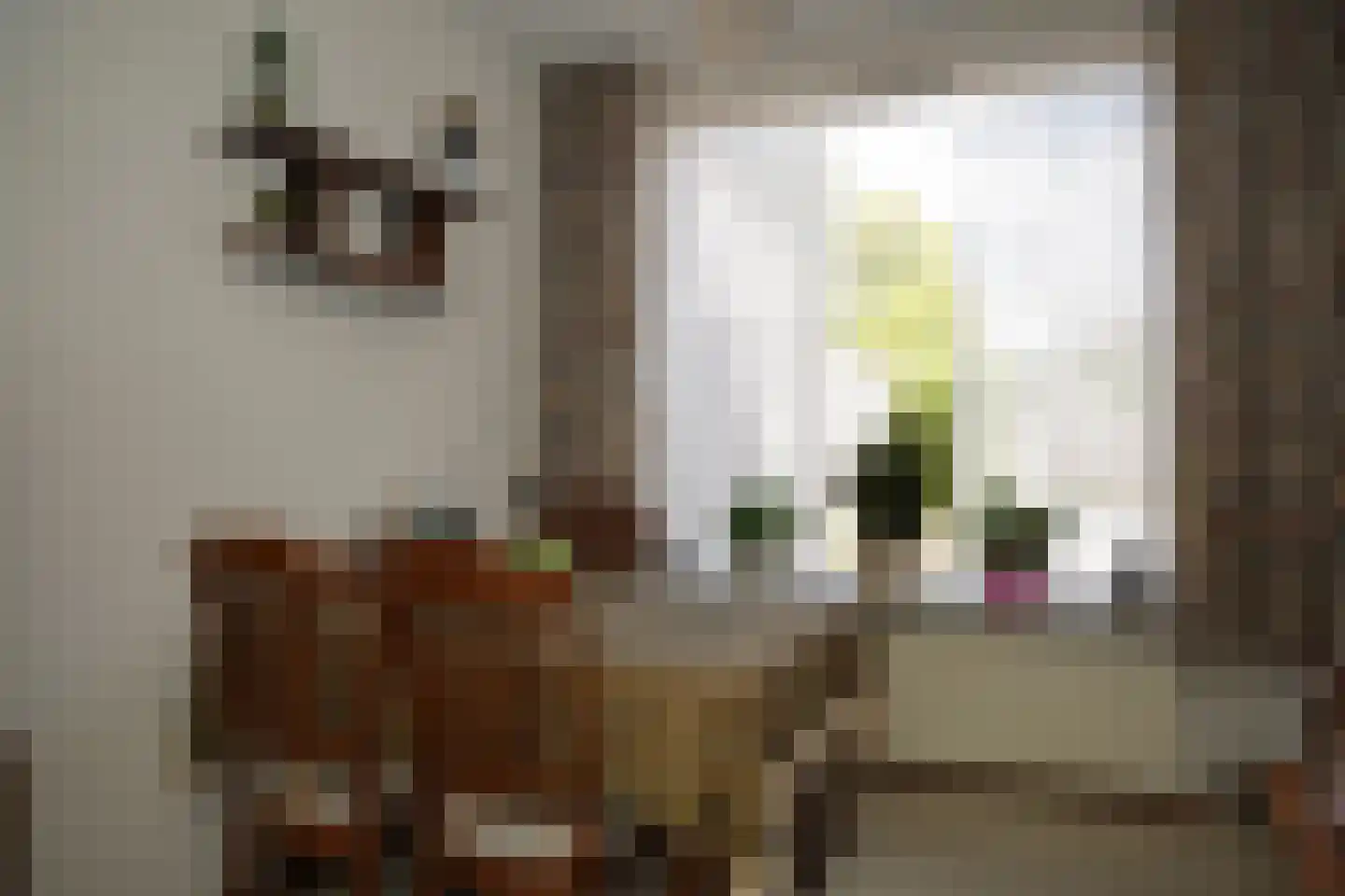 Willem Tellstraat 20 IJzendijke thumbnail 10