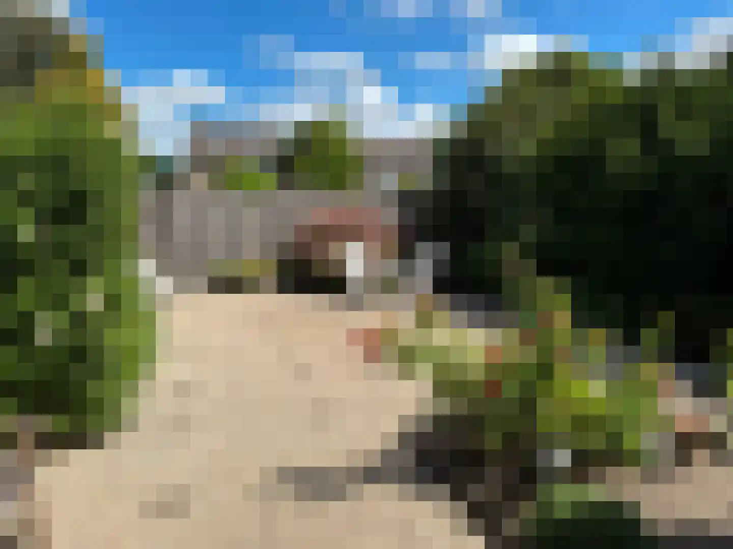 Willem Tellstraat 20 IJzendijke thumbnail 4