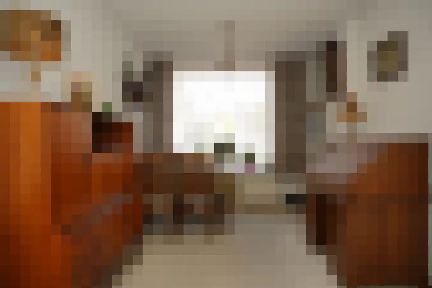 Willem Tellstraat 20 IJzendijke thumbnail 9
