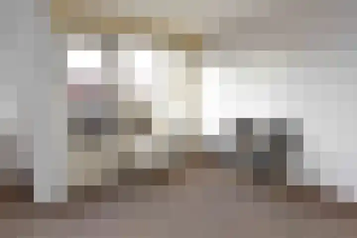Willem Tellstraat 48 Epe thumbnail 13