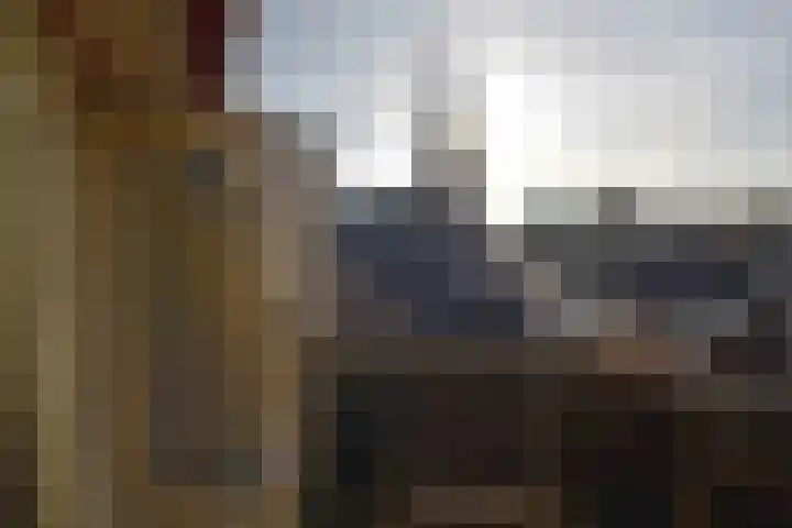 Willem Tellstraat 48 Epe thumbnail 17