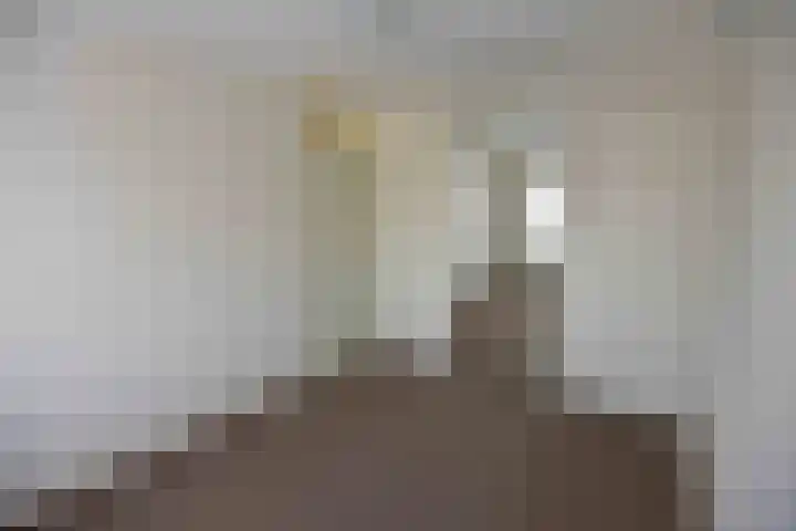 Willem Tellstraat 48 Epe thumbnail 21