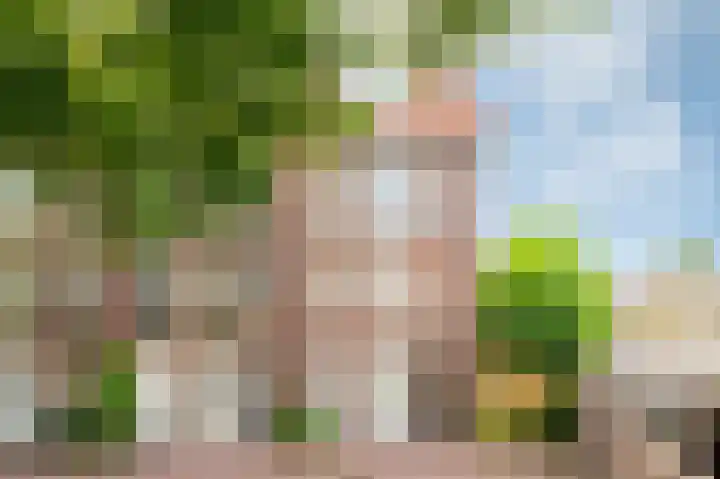 Willem ten Rijnestraat 4 Deventer