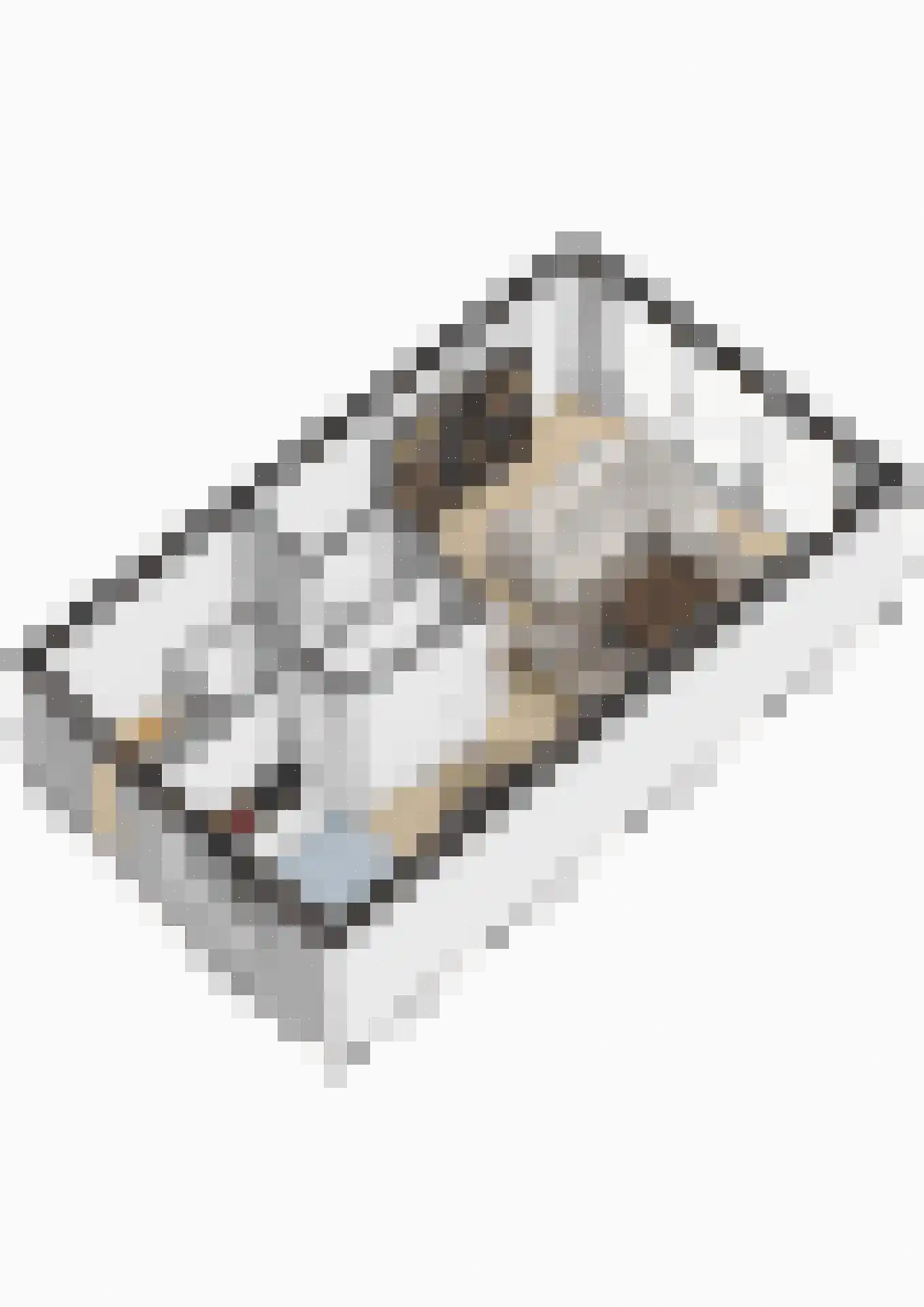Willem Tholenlaan 3 Vlissingen thumbnail 35