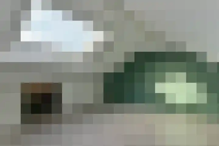 Willem Torckstraat 7 Breukelen thumbnail 14