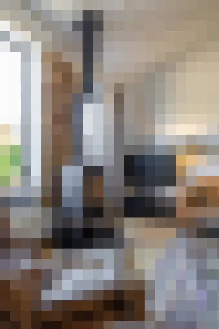 Willem Valkstraat 10 Groningen thumbnail 14