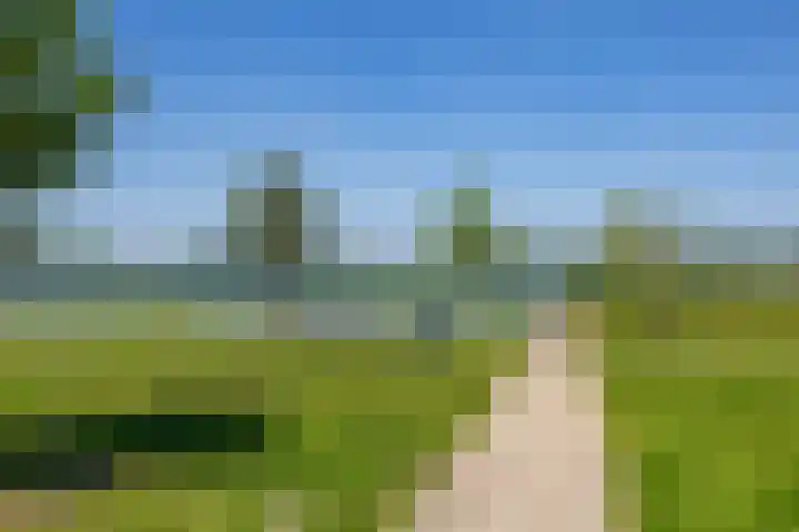 Willem Valkstraat 10 Groningen thumbnail 30