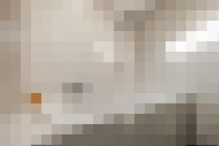 Willem Valkstraat 12 Groningen thumbnail 19