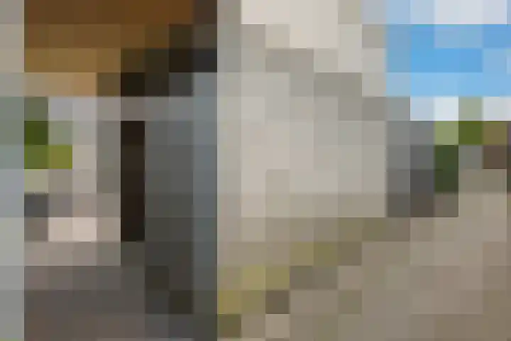 Willem Valkstraat 12 Groningen thumbnail 25