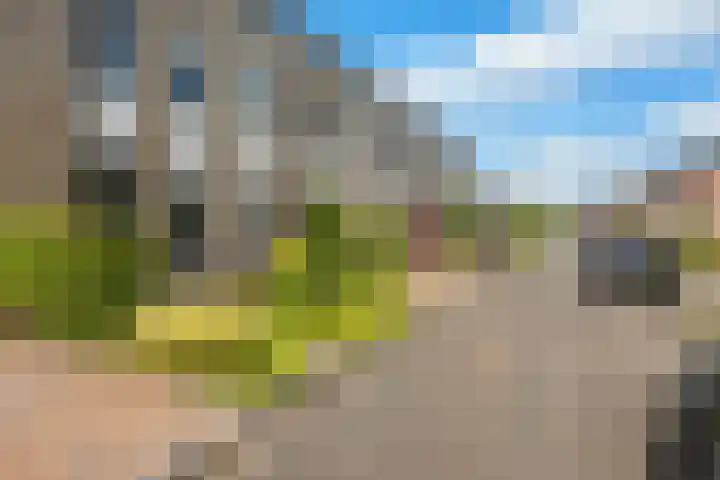 Willem Valkstraat 12 Groningen thumbnail 26